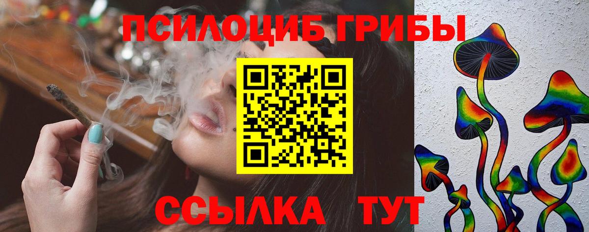 купить наркотик  Псилоцибиновые грибы Psilocybe  Крымск  Вход с VPN  Псилоцибиновые грибы MAGIC MUSHROOMS 